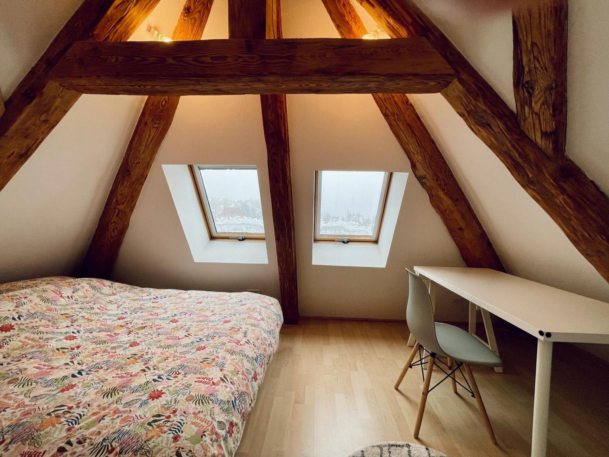 Duplex + Parking Gratuit Facile Apartment Sainte-Suzanne  Bagian luar foto