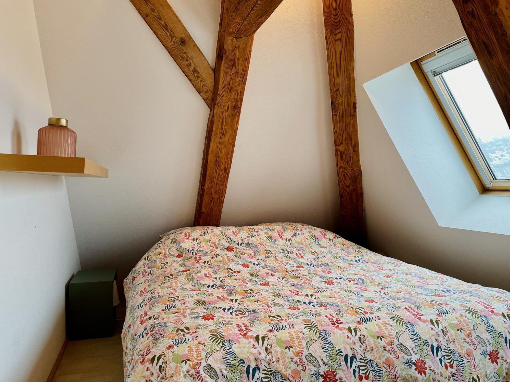 Duplex + Parking Gratuit Facile Apartment Sainte-Suzanne  Bagian luar foto